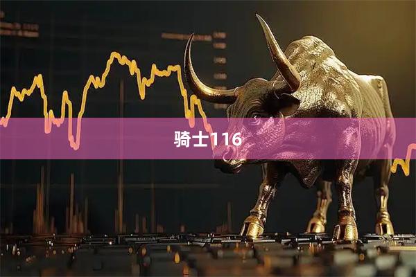 骑士116