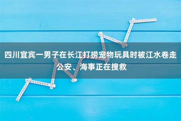 四川宜宾一男子在长江打捞宠物玩具时被江水卷走 公安、海事正在搜救
