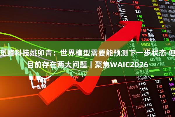觅蜂科技姚卯青:世界模型需要能预测下一步状态 但目前存在两大问题|聚焦WAIC2026
