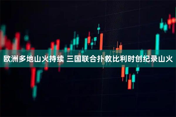 欧洲多地山火持续 三国联合扑救比利时创纪录山火